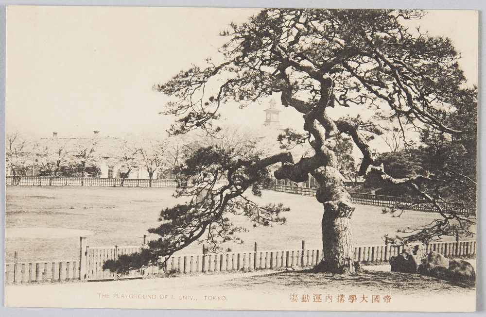 作品画像:帝国大学構内運動場