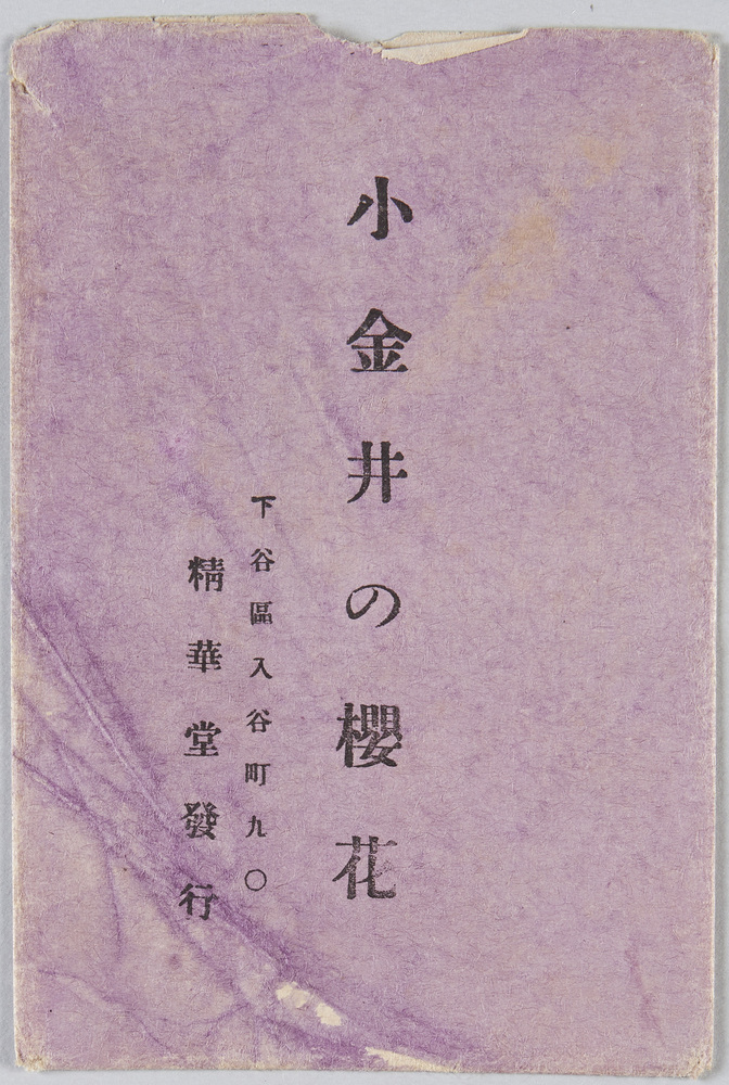 作品画像:小金井の桜花