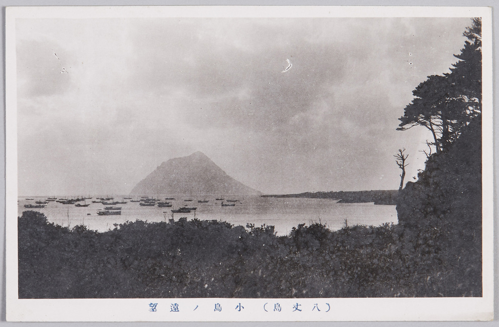 作品画像:(八丈島)小島の遠望