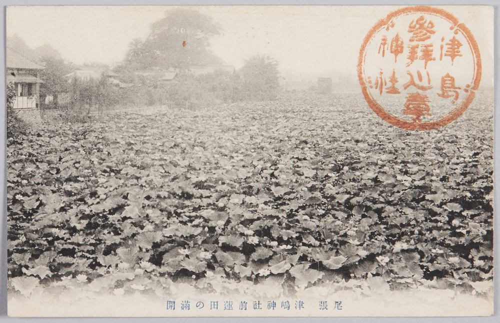 作品画像:尾張 津嶋神社