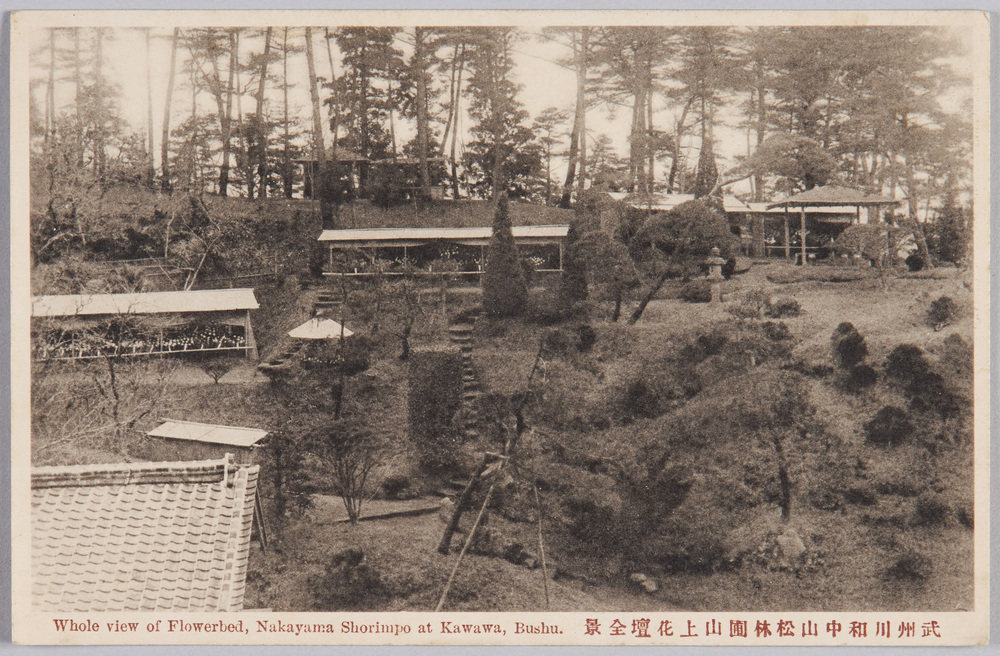 作品画像:武州川和中山松林圃山上花壇全景 Whole view of Flowerbed,Nakayama Shorimpo at Kawawa,Bushu