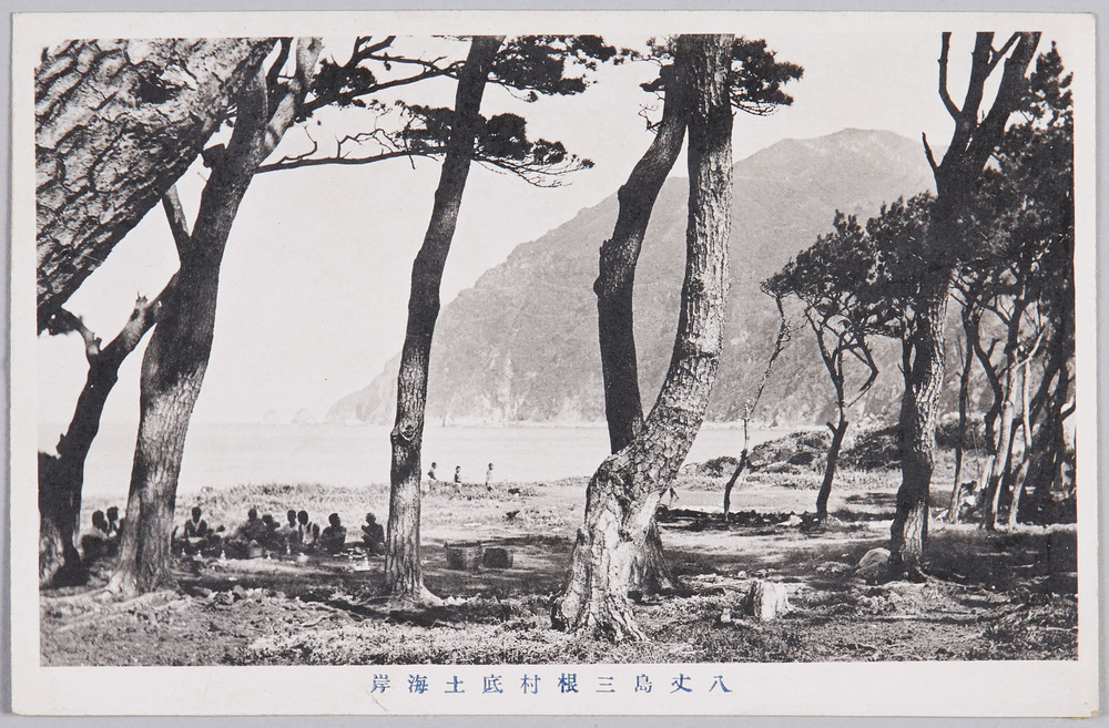 作品画像:八丈島三根村底土海岸