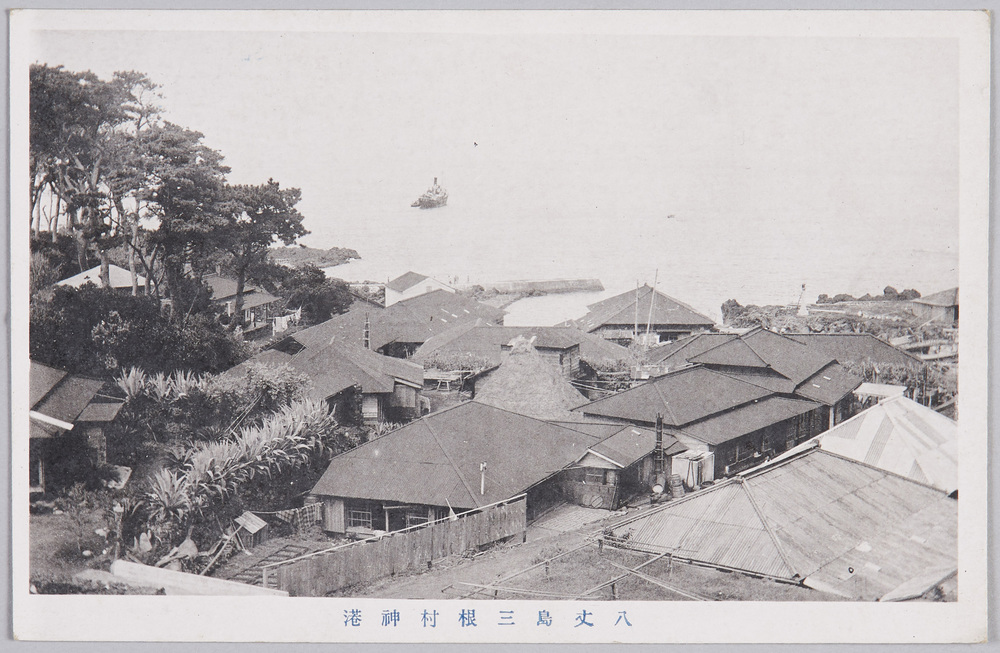作品画像:八丈島三根村神港