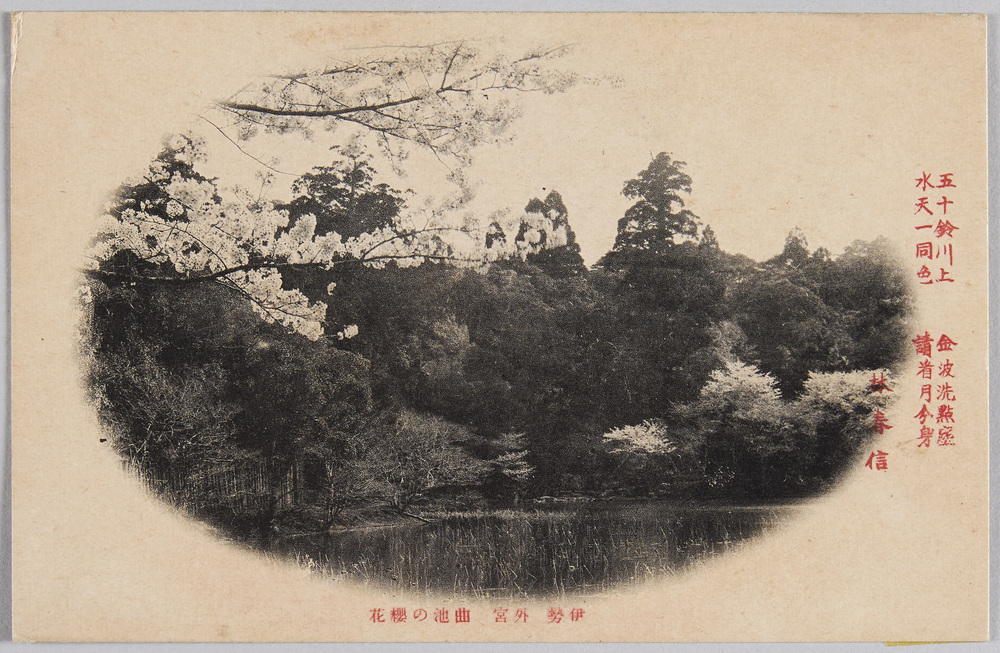 作品画像:伊勢 外宮 曲池の桜花