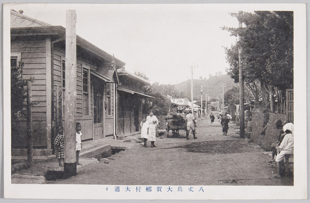 作品画像:八丈島大賀郷村大通り