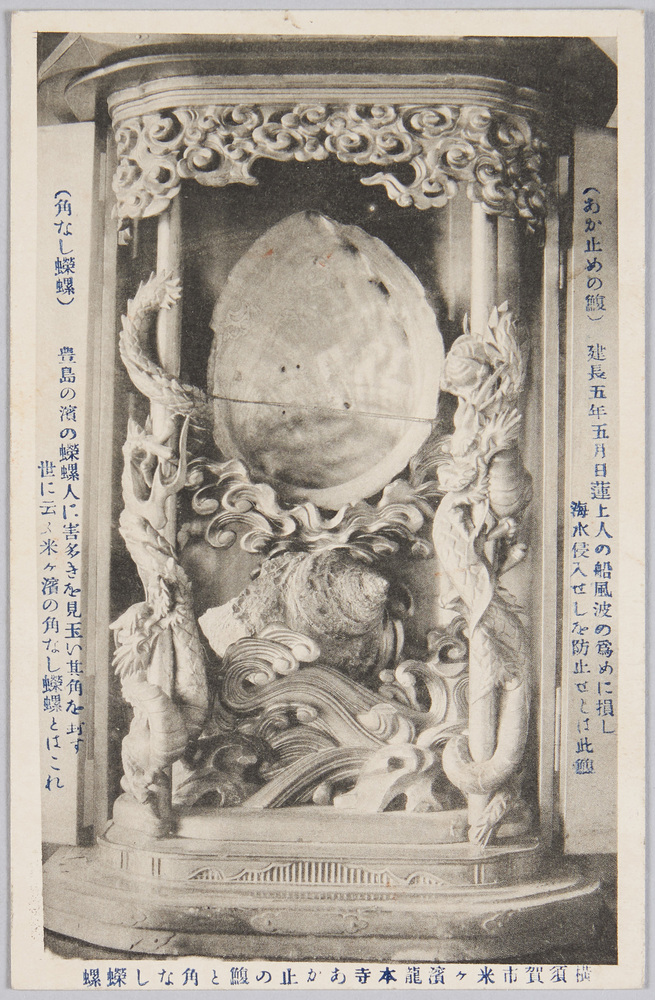 作品画像:横須賀市米ケ浜龍本寺 あか止の鰒と角なし蠑螺