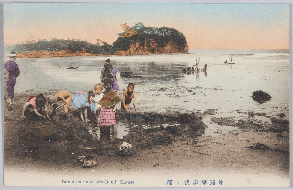 作品画像:片瀬海岸袂ケ浦