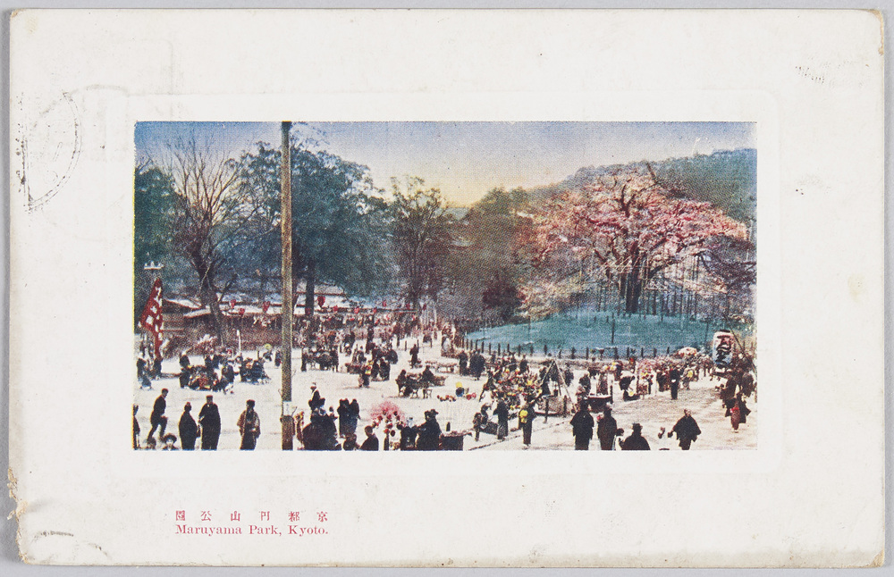 作品画像:京都円山公園