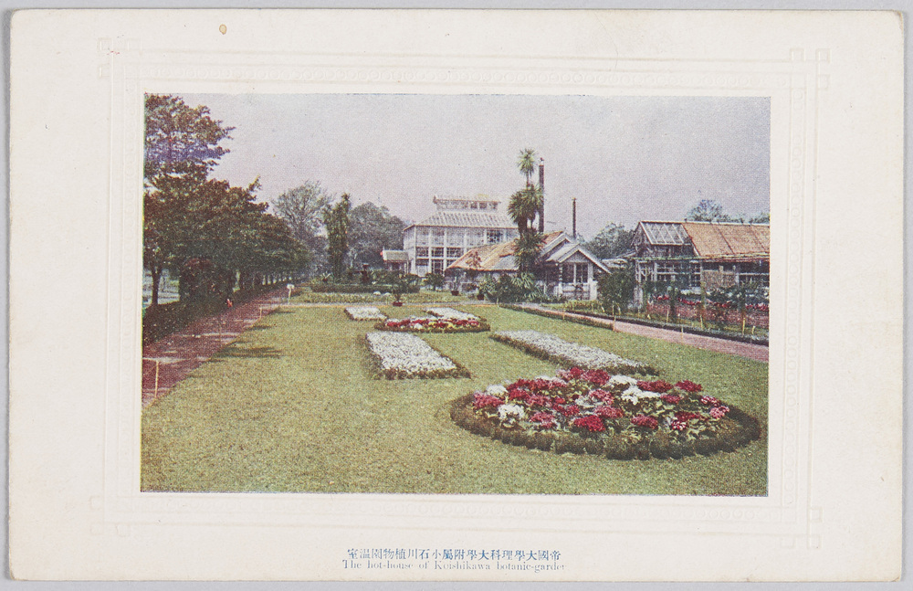 作品画像:帝国大学理科大学付属小石川植物園温室