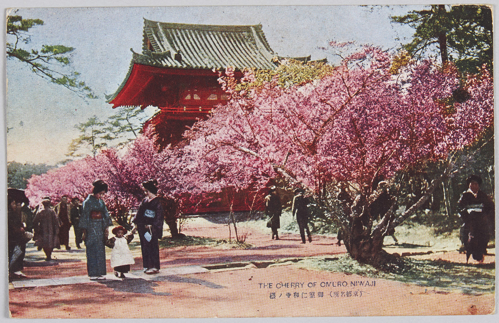 作品画像:(京都名所)御室仁和寺ノ桜