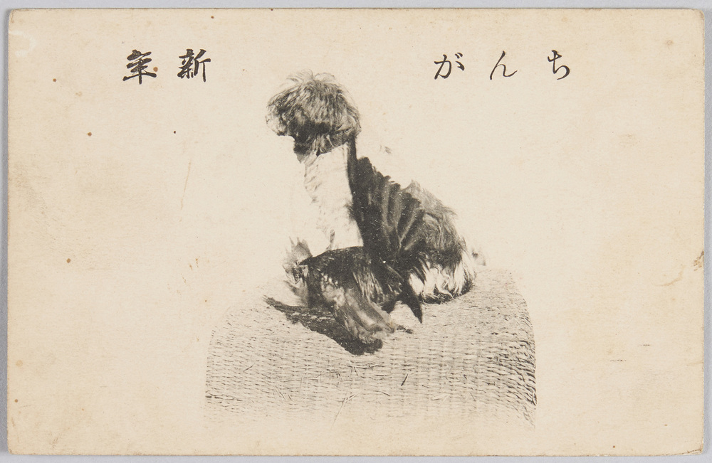 作品画像:ちんが新年