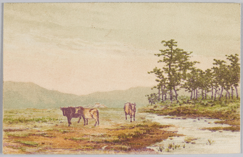 作品画像：[富士近郊の風景]