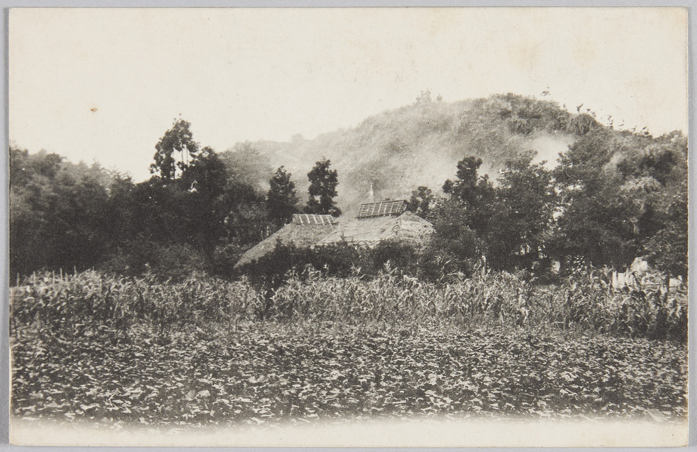 作品画像:風景