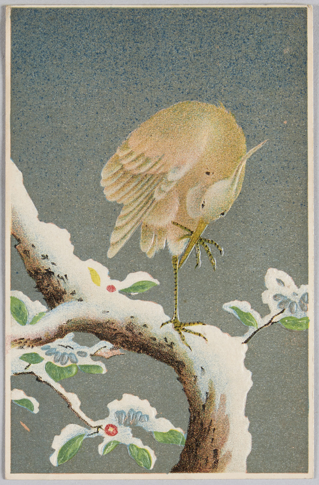 作品画像:木にとまる鳥
