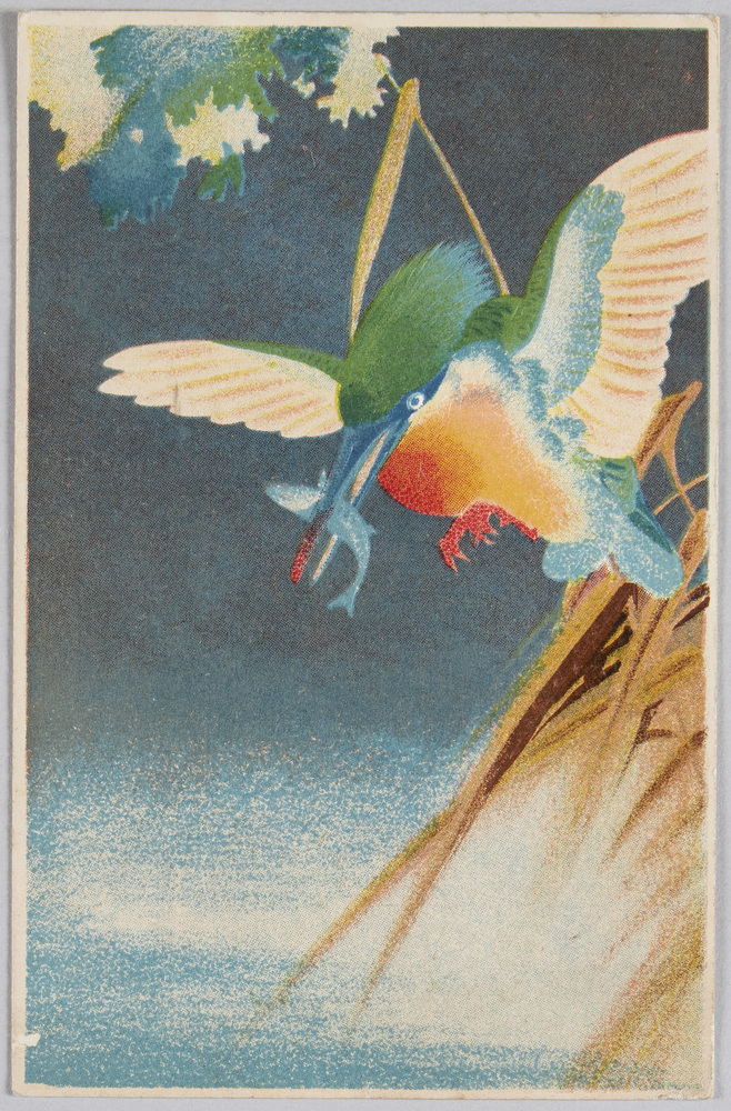 作品画像：[カワセミ]