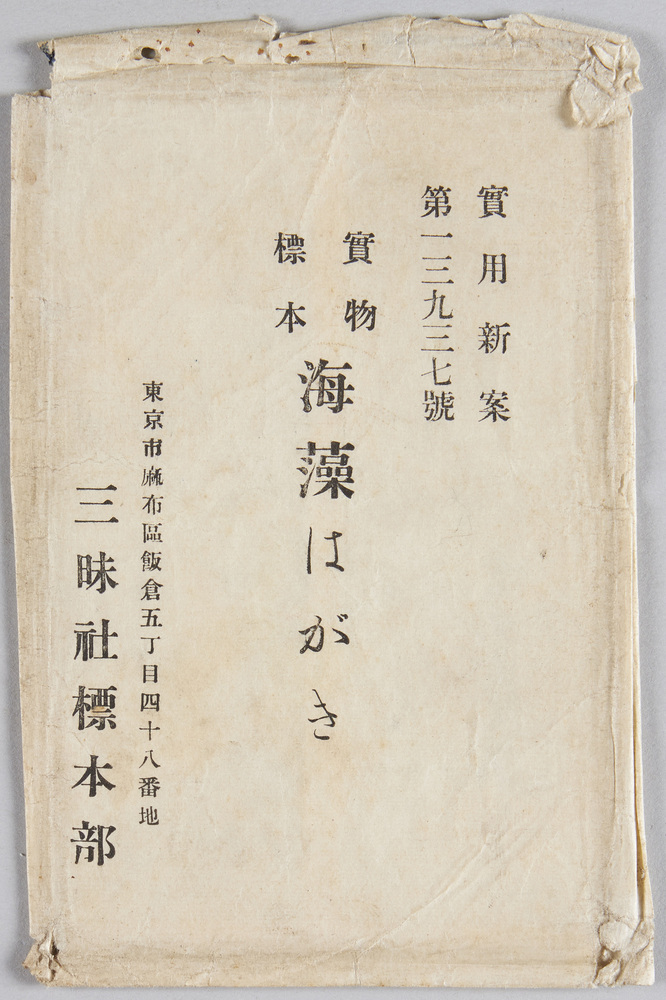 作品画像:実物標本 海藻はがき