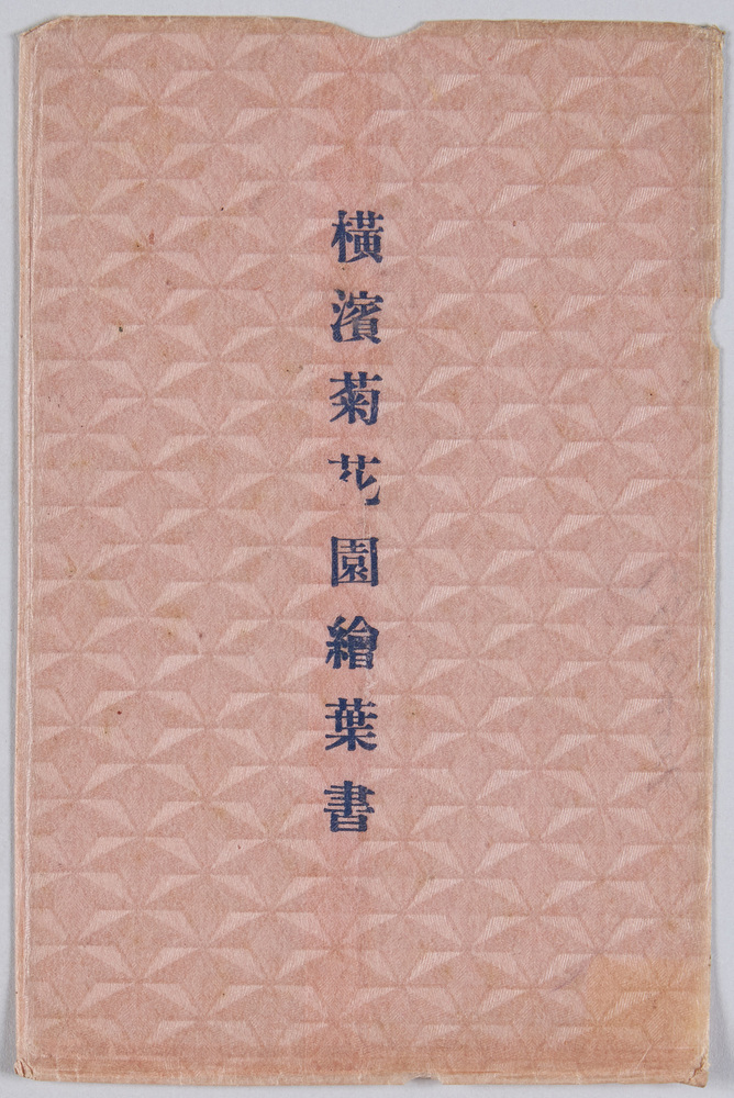 作品画像:横浜菊花園絵葉書
