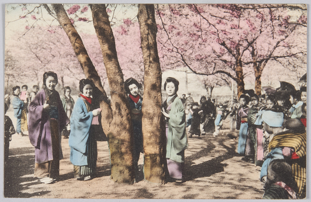 作品画像:桜の木と着物姿の女性