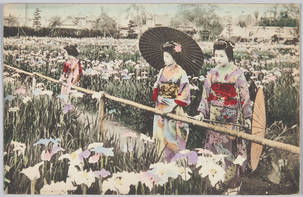 作品画像:菖蒲園と着物姿の女性