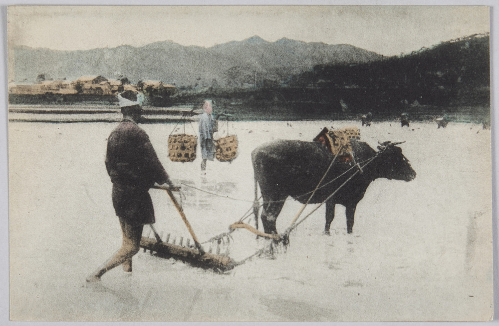 作品画像:馬鍬で田を耕す