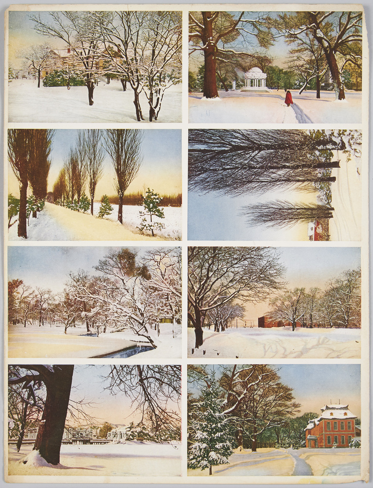 作品画像:裁断前絵ハガキ 北海道 中島公園