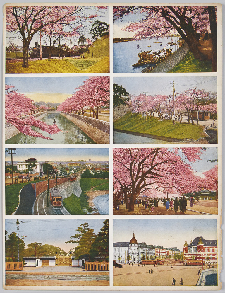 作品画像:裁断前絵ハガキ 桜と東京名所