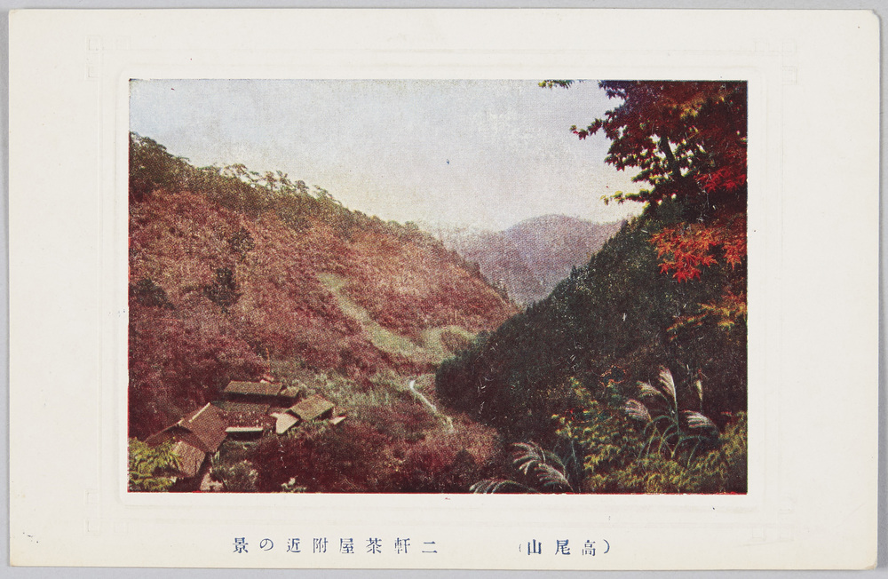 作品画像:高尾山二軒茶屋付近の景