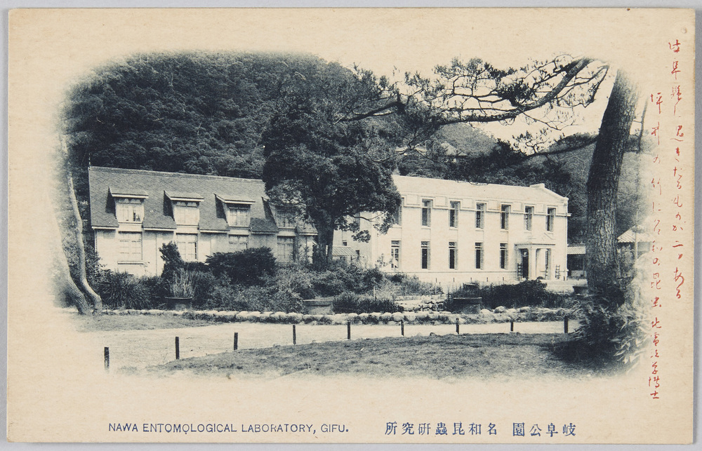 作品画像:岐阜名所