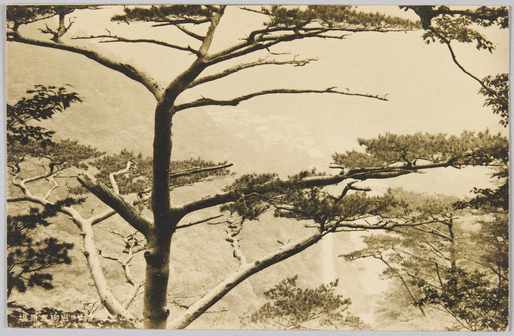 作品画像:塩原天狗岩ヨリ福渡ヲ望ム