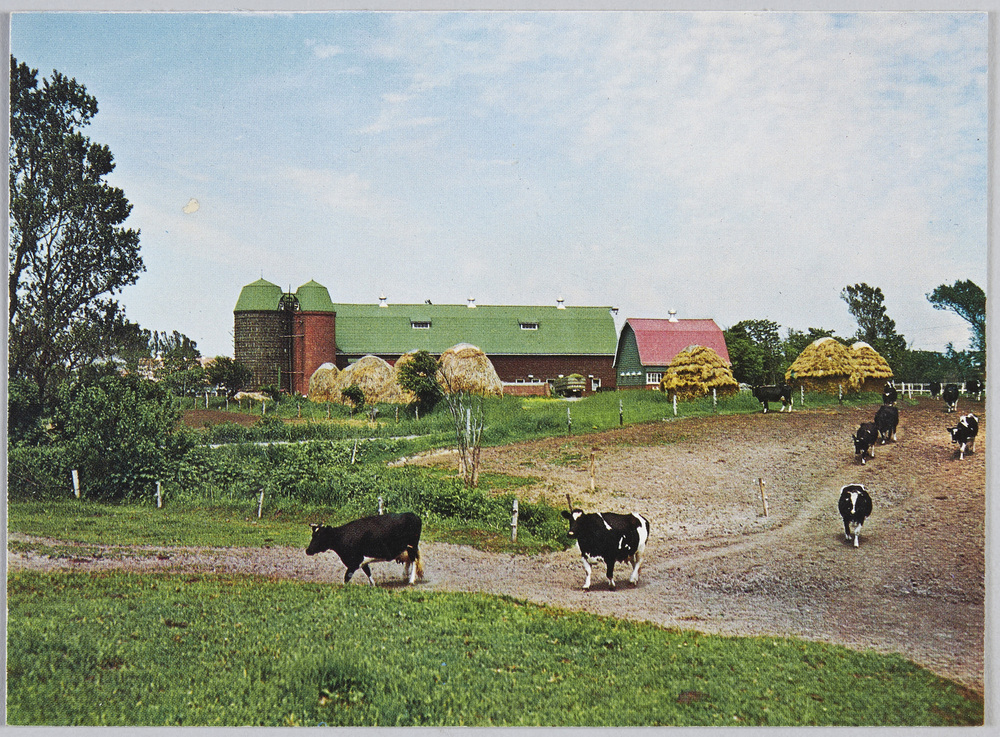 作品画像:札幌 町村牧場