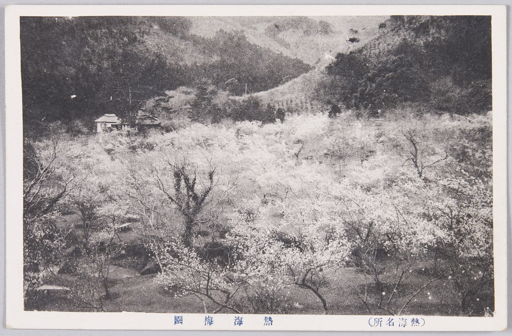 作品画像:熱海勝景