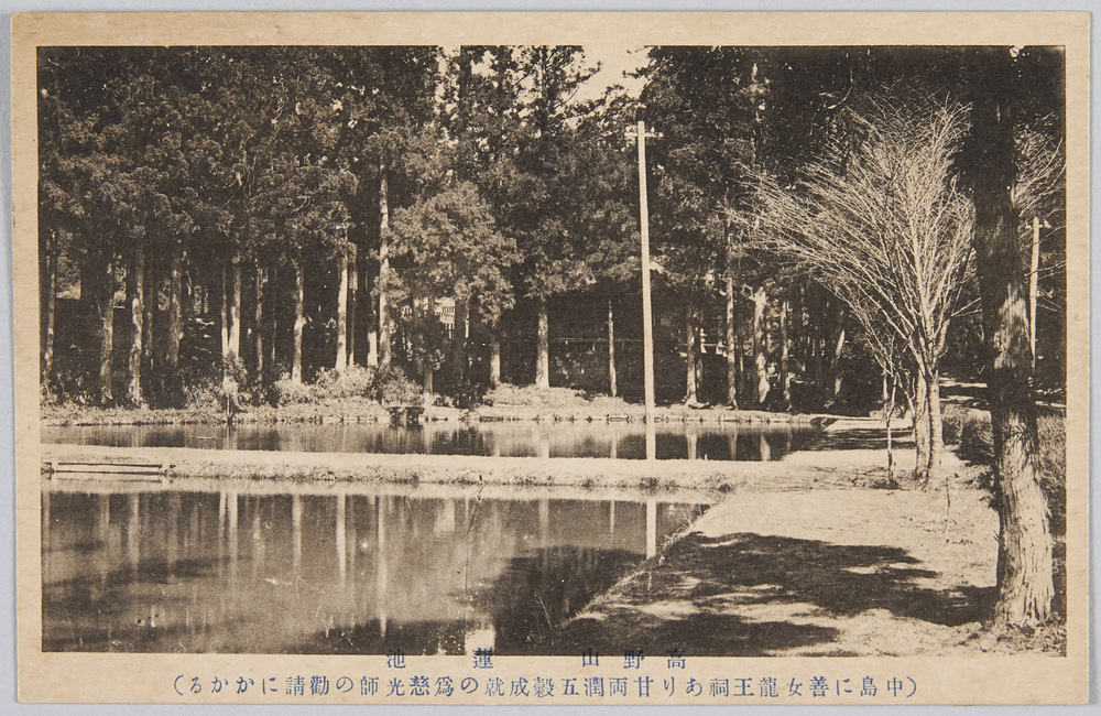 作品画像:高野山霊蹟