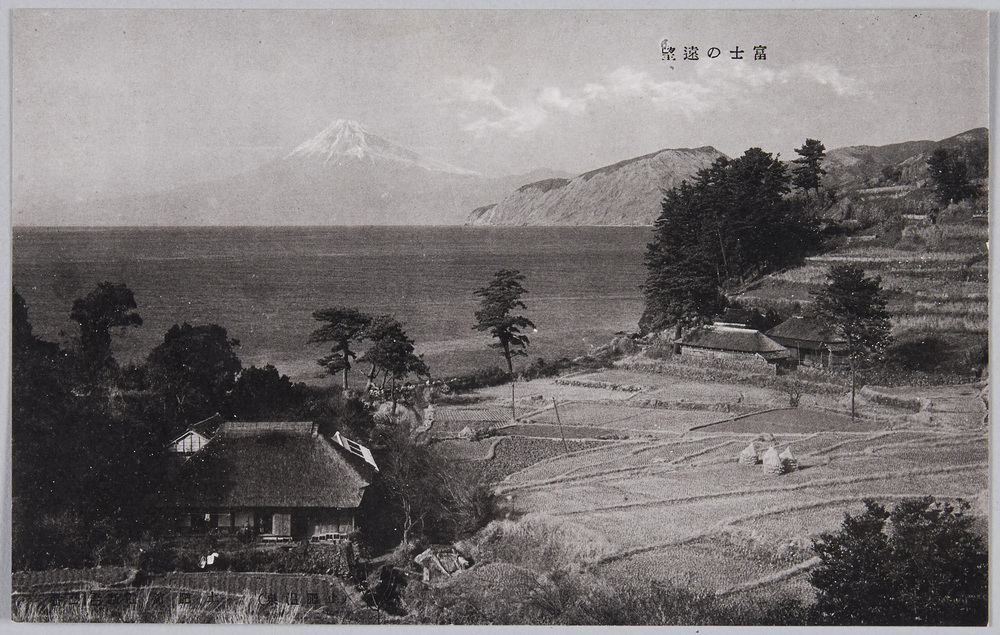 作品画像:富士の遠望