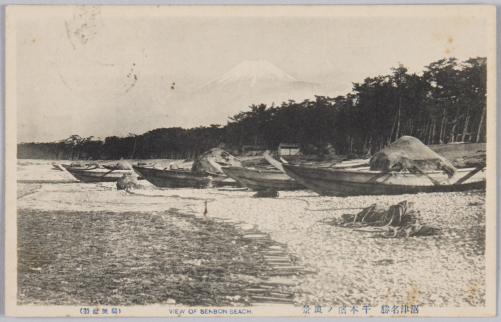 作品画像:沼津名勝 千本浜ノ風景