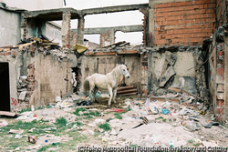 作品画像:#2 Peja, Kosovo