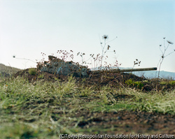 作品画像:#4 Golan Heights