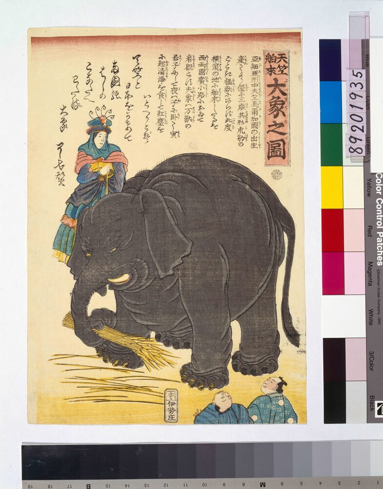 作品画像:天竺舶来大象之図