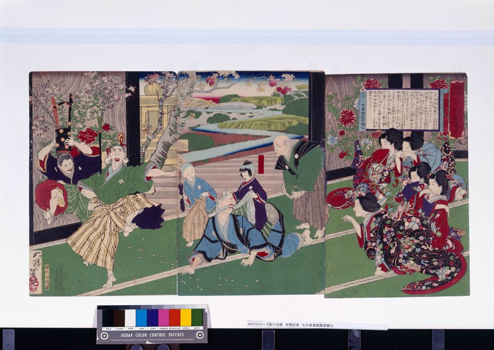 作品画像:徳川治績 年間記事 七代有章院殿家継公