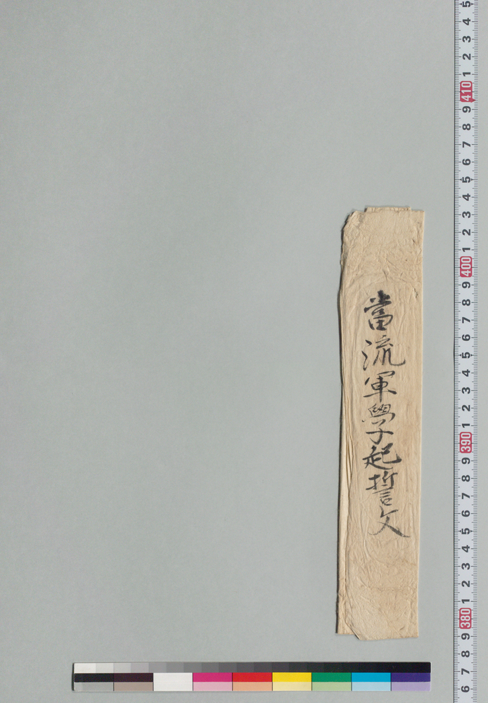 作品画像:当流軍学起請文