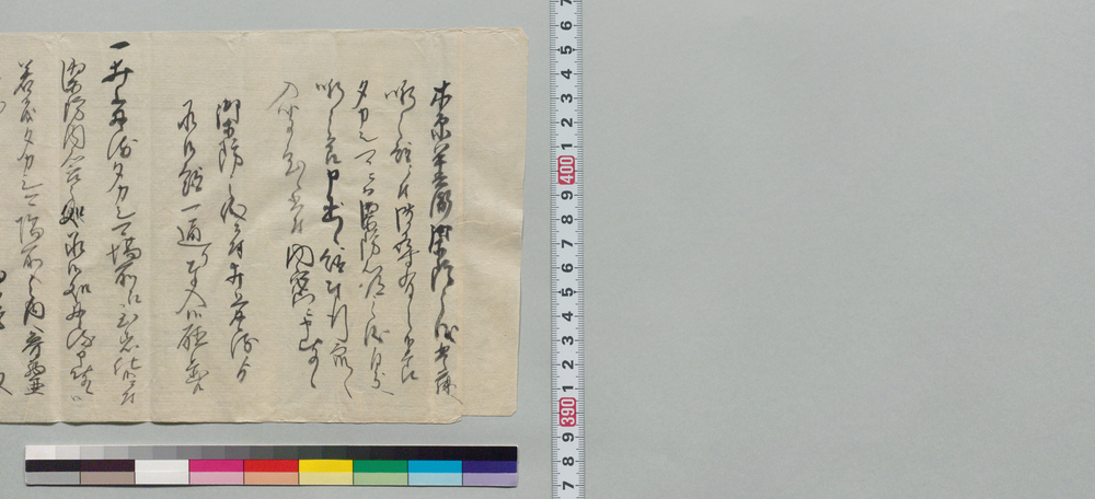 作品画像：[タカシマ場所へ魯西亜船来襲時の防禦心得につき井上貫流の所存]