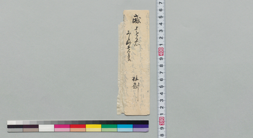 作品画像:威遠宛書状(急ぎにて養子の様子伺いにつき)
