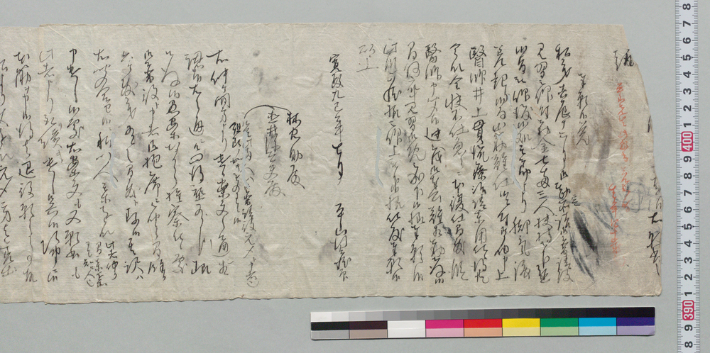 作品画像:願書下書(病気につき勘定所御普請役見習御免願)