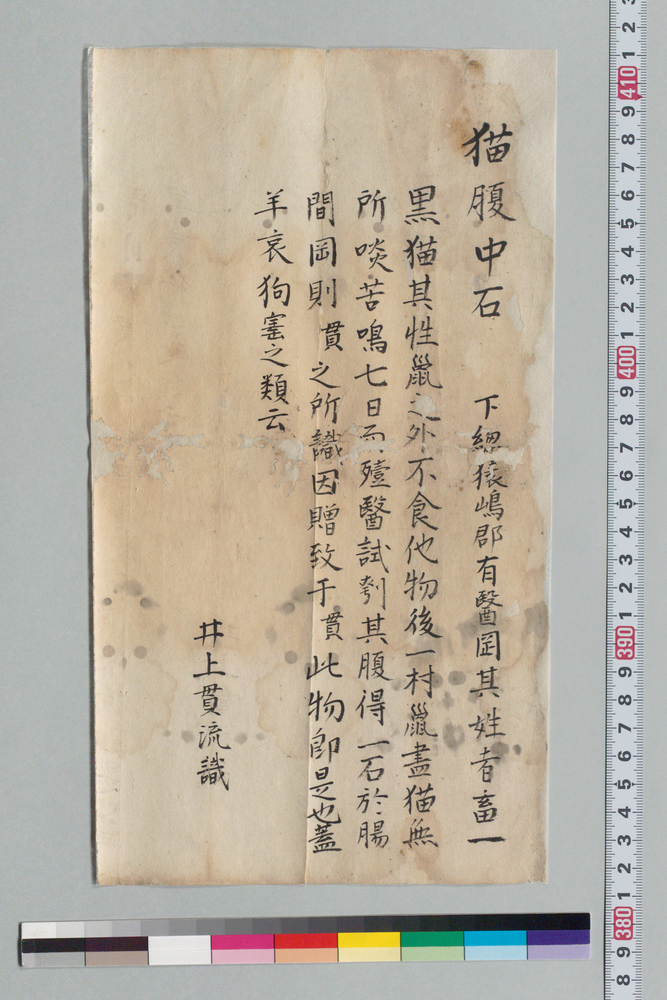 作品画像:猫腹中石由来書