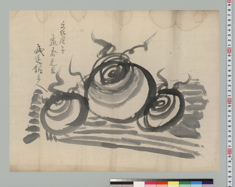 作品画像:慈姑図