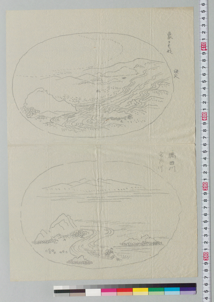 作品画像:盆景下絵 象のはな他