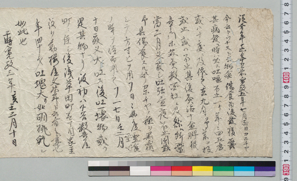 作品画像：[桜屋文次郎妻吐塊の件書付 吐塊付]