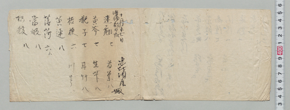 作品画像:処方薬分量書付