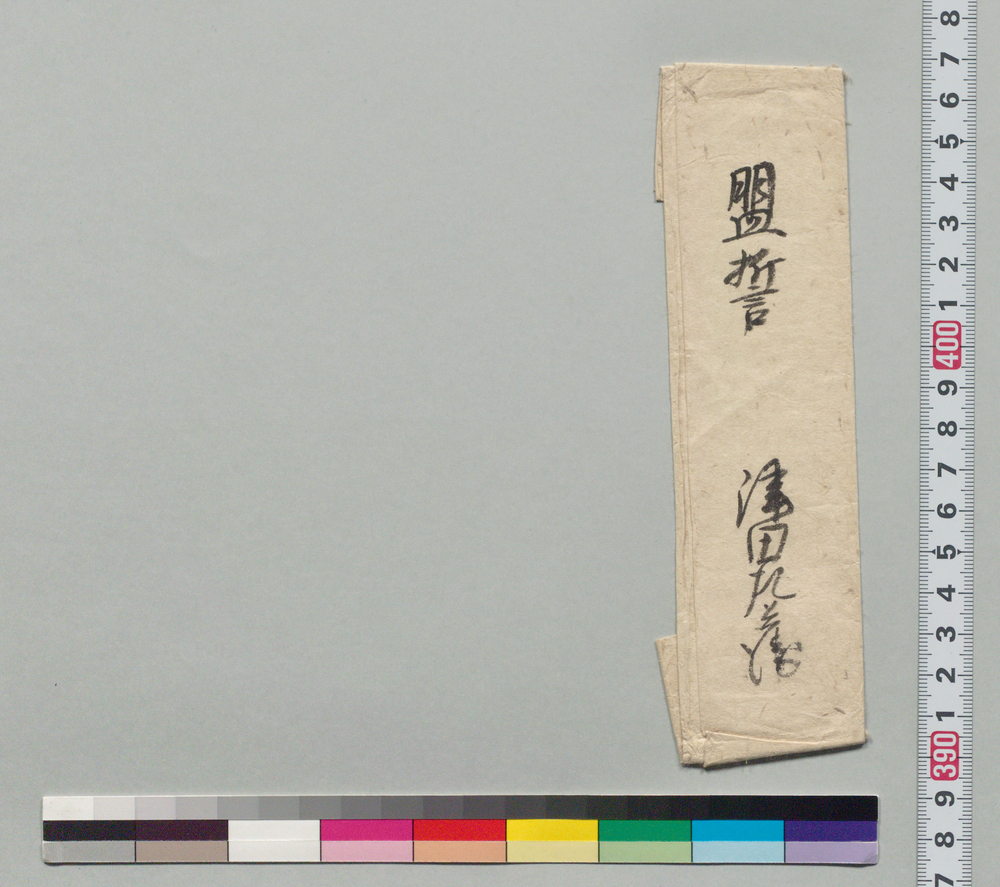 作品画像:盟誓書包紙
