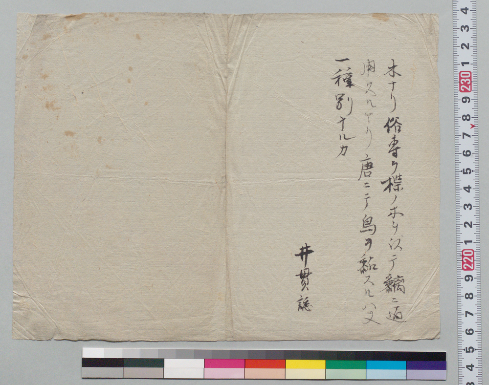 作品画像：[覚書 断片]