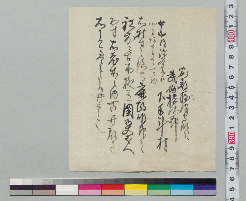 作品画像：[武州榛沢郡下手斗村古木につき書付]